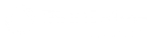 RingDrive-Logo1-300x86